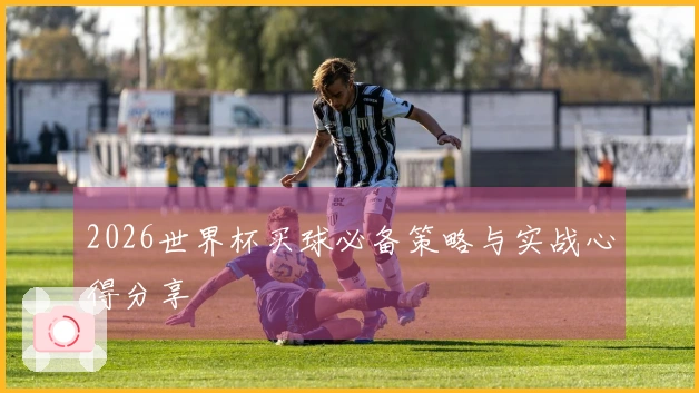 2026世界杯买球必备策略与实战心得分享