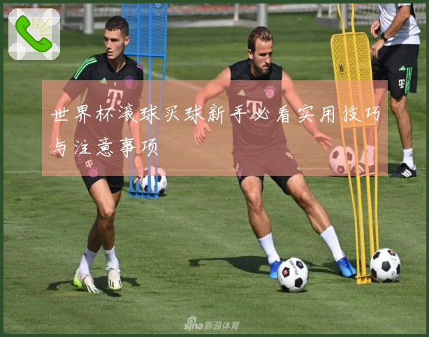 世界杯滚球买球新手必看实用技巧与注意事项