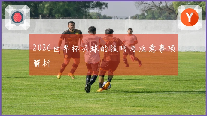2026世界杯买球的技巧与注意事项解析
