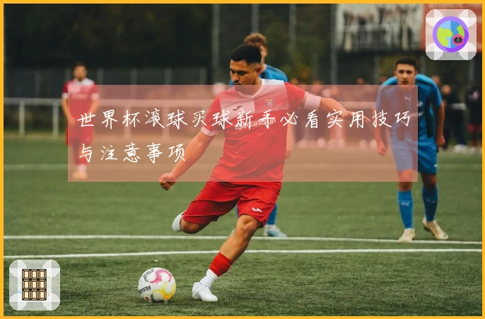 世界杯滚球买球新手必看实用技巧与注意事项