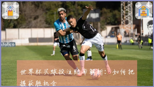 世界杯买球投注赔率解析：如何把握获胜机会