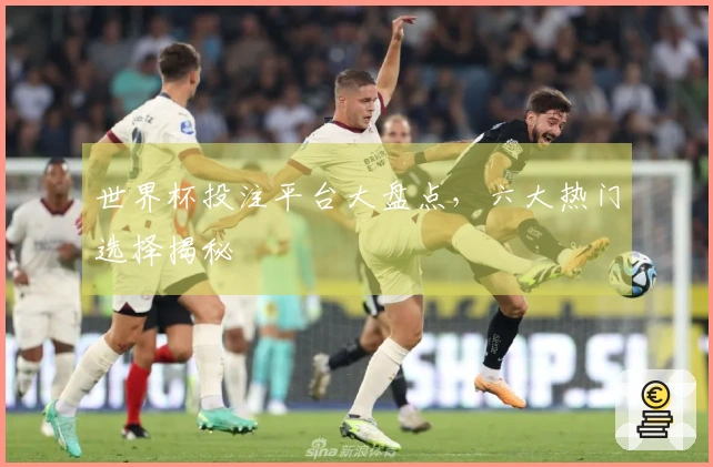 世界杯投注平台大盘点，六大热门选择揭秘