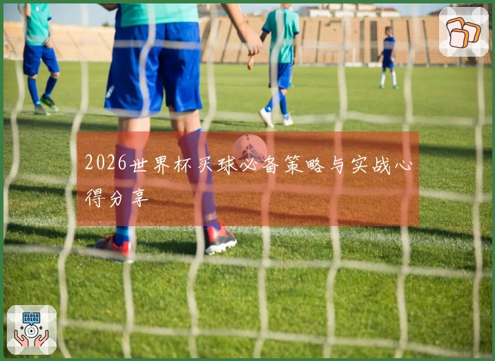2026世界杯买球必备策略与实战心得分享