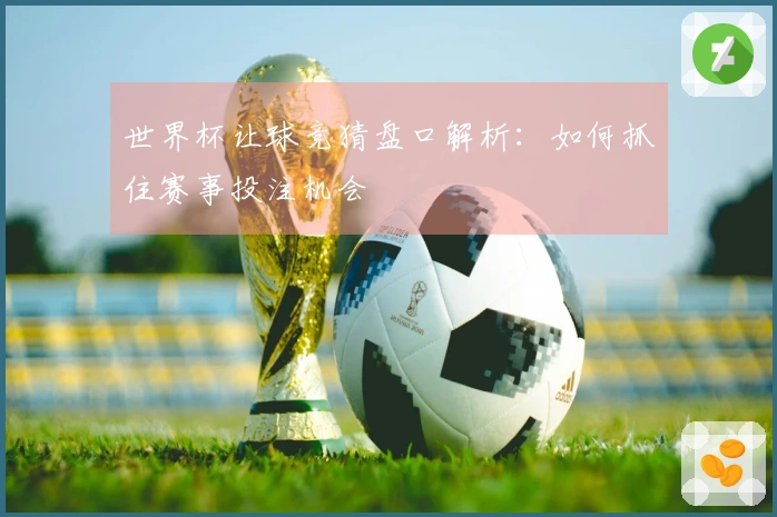 世界杯让球竞猜盘口解析：如何抓住赛事投注机会